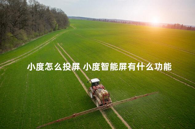 小度怎么投屏 小度智能屏有什么功能
